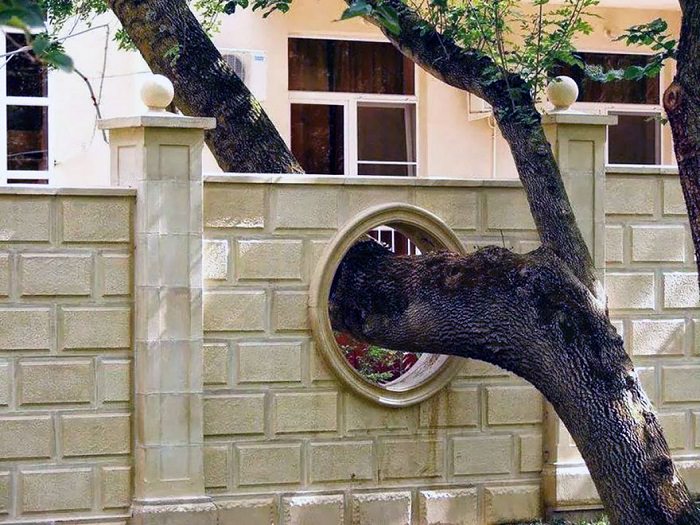 buildings with trees