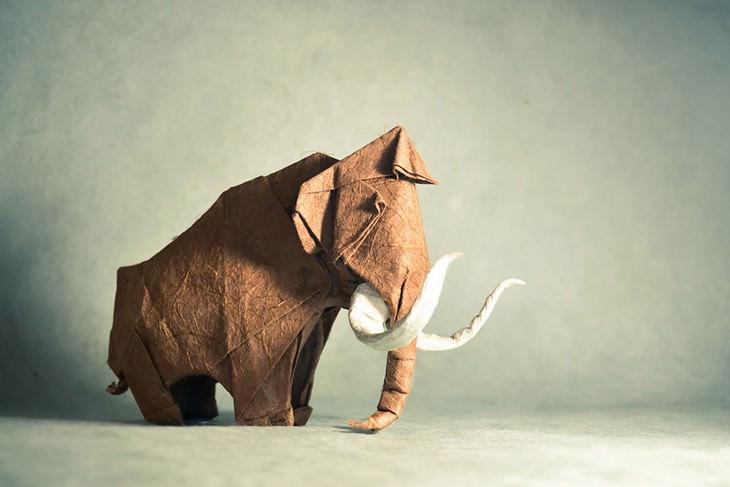 origami animals, paper, art