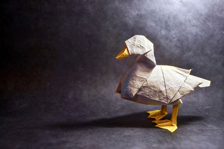 origami animals, paper, art