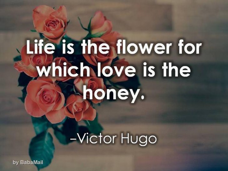 Life is the flower for which love is the honey.