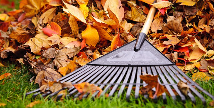 raking, leaves, autumn, lawnmower, grass, fall