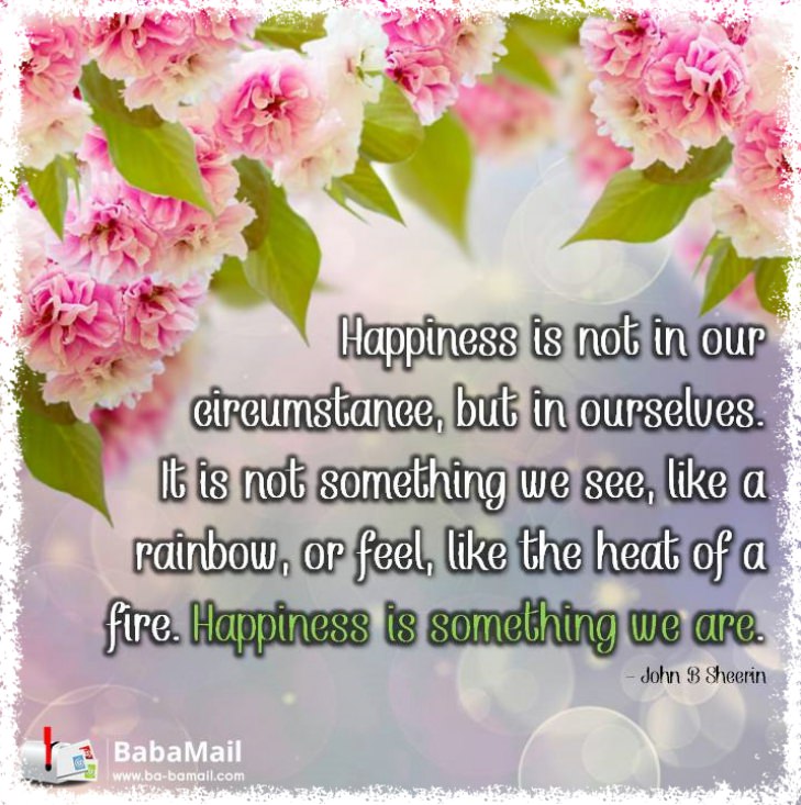 John B. Sheerin - Happiness is not in our circumstance, but in ourselves. It is not something we see, like a rainbow, or feel, like the heat of a fire. Happiness is something we are.