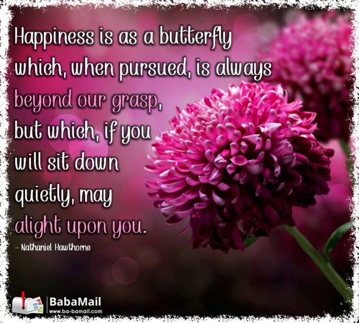 Nathaniel Hawthorne - Happiness is as a butterfly which, when pursued, is always beyond our grasp, but which, if you will sit down quietly, may alight upon you.