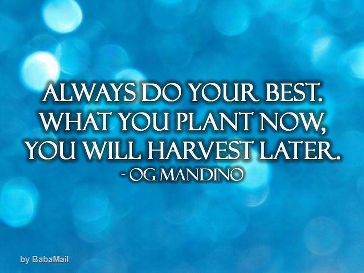 Og Mandino - Always do your best. What you plant now, you will harvest later.