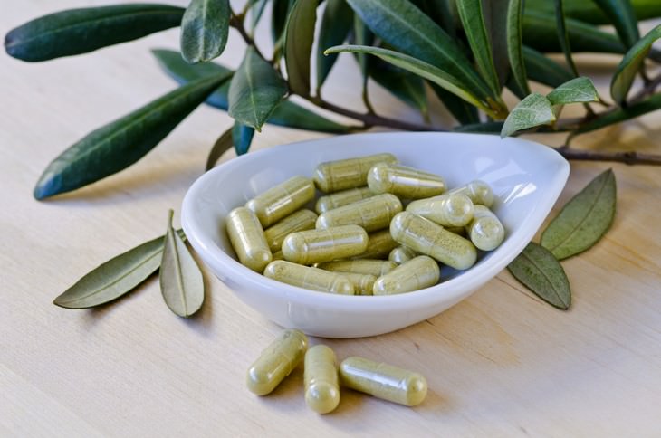 olive leaf, extract, health, benefits