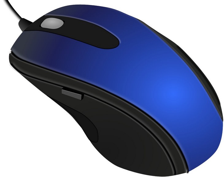 image of mouse in computer