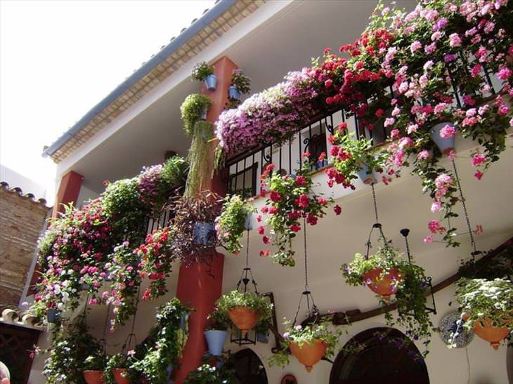Cordoba, flowers, city