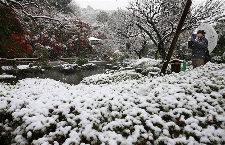 snow, Tokyo, beautiful, November