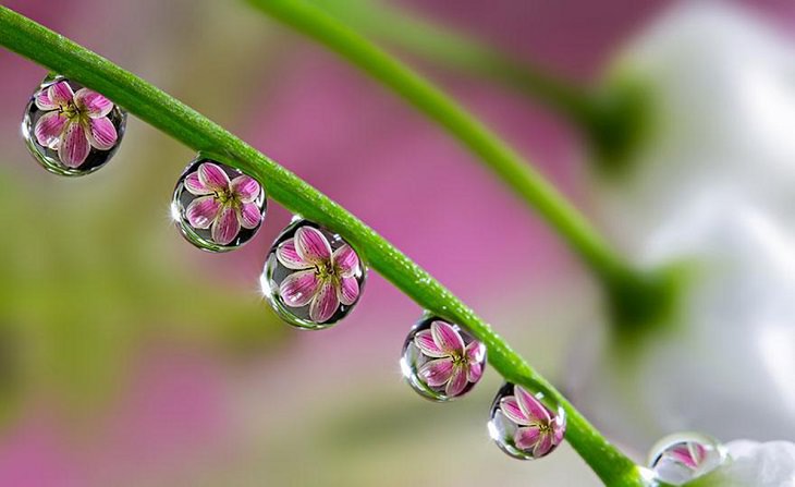 Reflections - Photography - Stunning