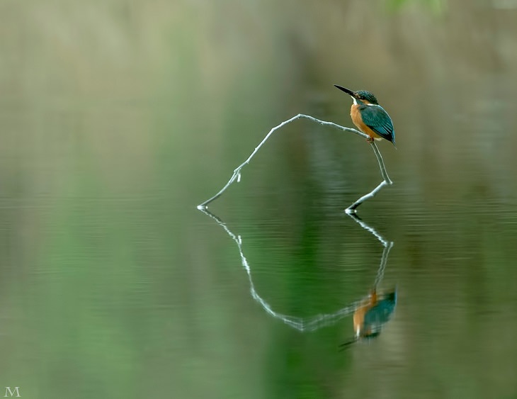 Reflections - Photography - Stunning