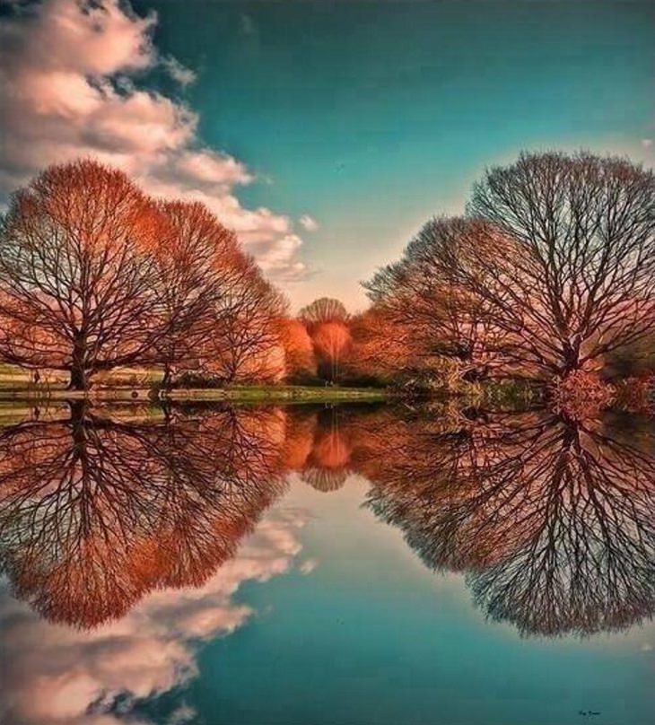 Reflections That Will Blow Your Mind