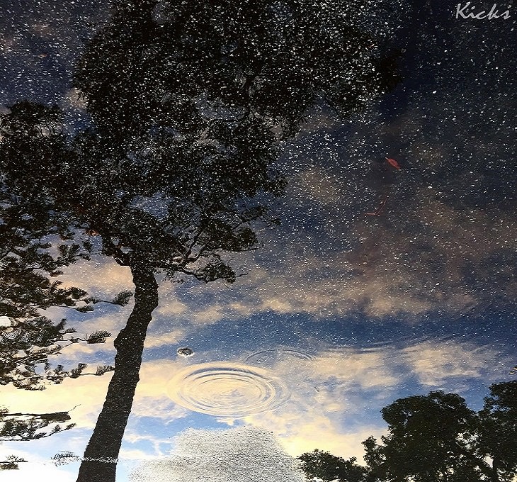 Reflections - Photography - Stunning