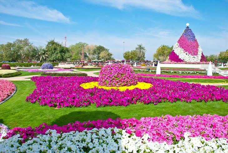 Al Ain, garden, botanic, flowers