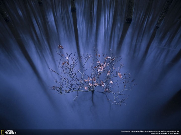 National Geographic - Photography - Winners