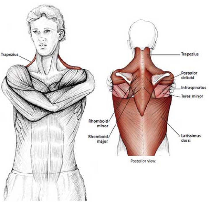 Easy Stretches - Release - Tension - Neck - Shoulders