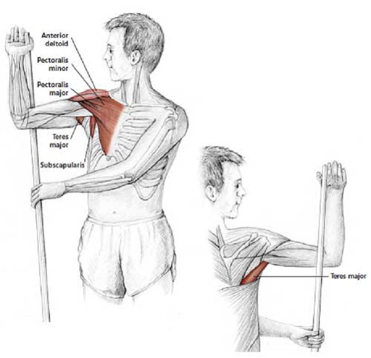 Easy Stretches - Release - Tension - Neck - Shoulders