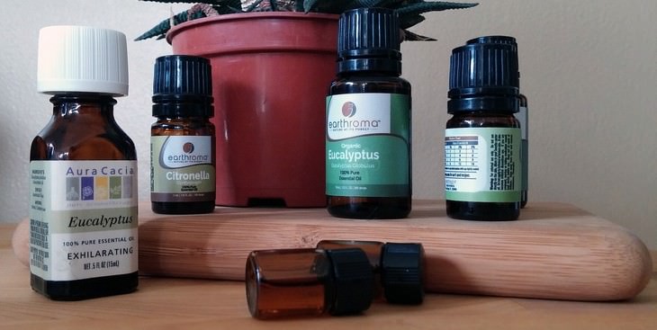 herbs, cold, flu, remedy, natural, tea, herbal