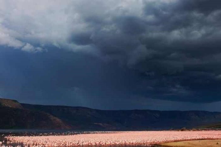 Once a Year, This Lake Turns Pink!