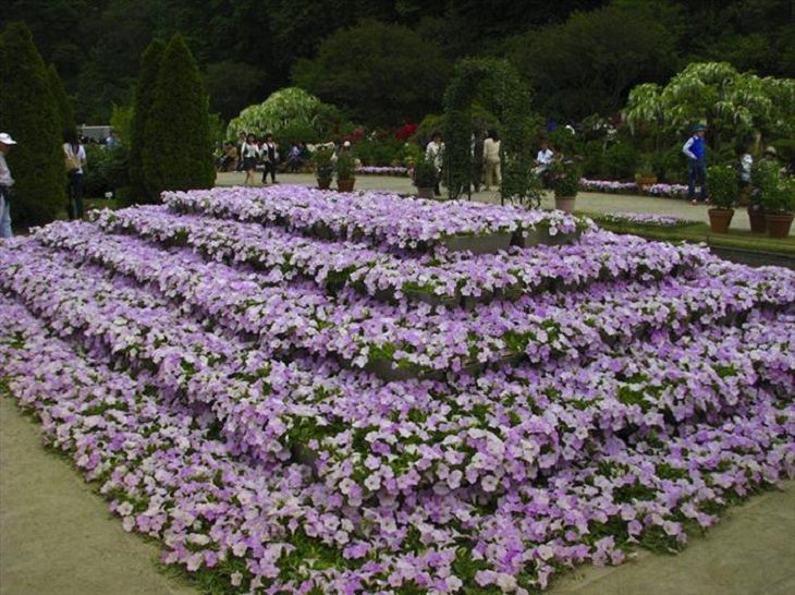 Flowers - Garden - Japan