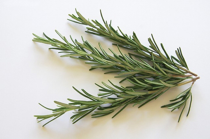 super healthy common herbs: dill: rosemary