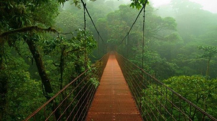 Amazing Sights - Amazon - Nature - South America