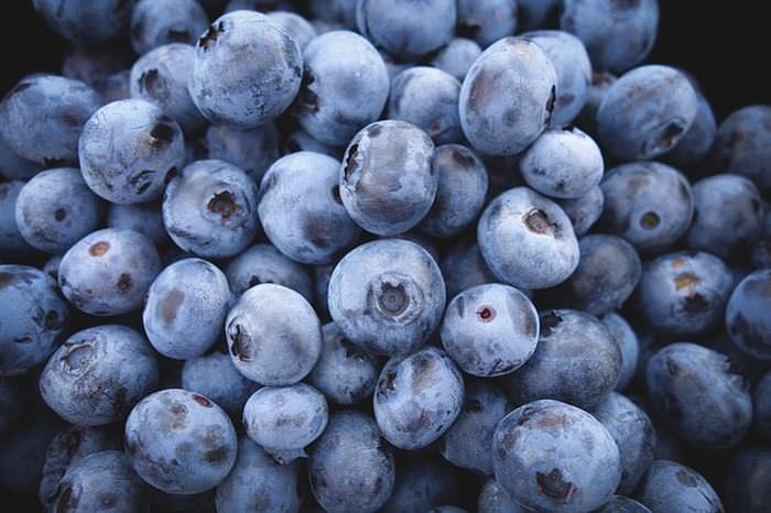 Herbs for memory: Blueberries