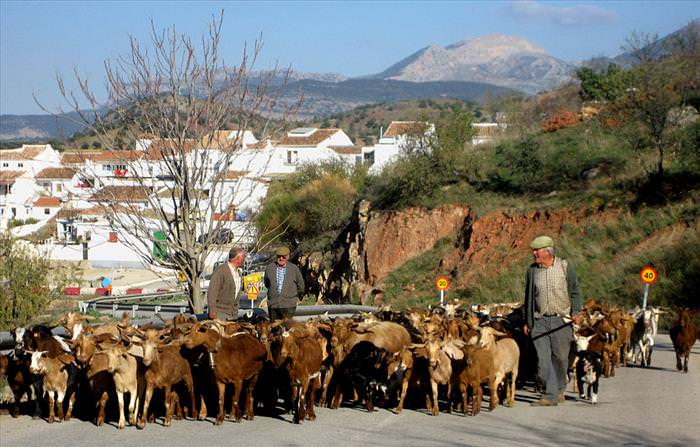 Different Rush Hours Around The World Contrast Each Other Greatly...