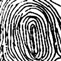 Fingerprints and personality types