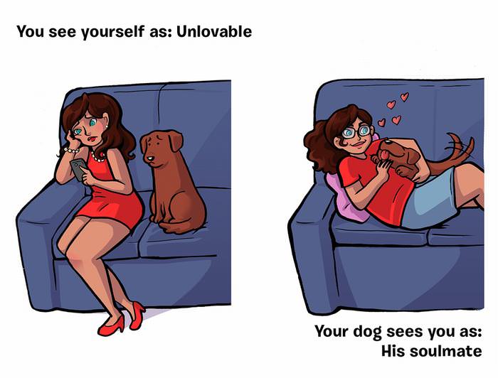 how dogs see people