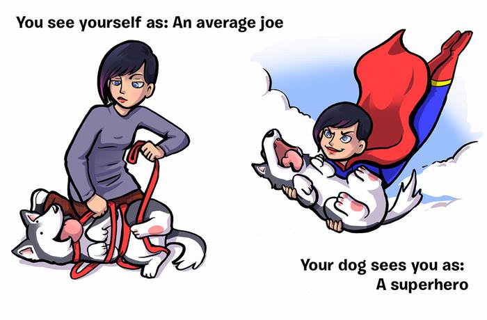 how dogs see people