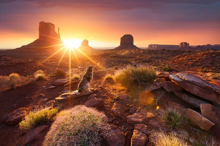 21 Gorgeous Sunrises On Our Beautiful Planet