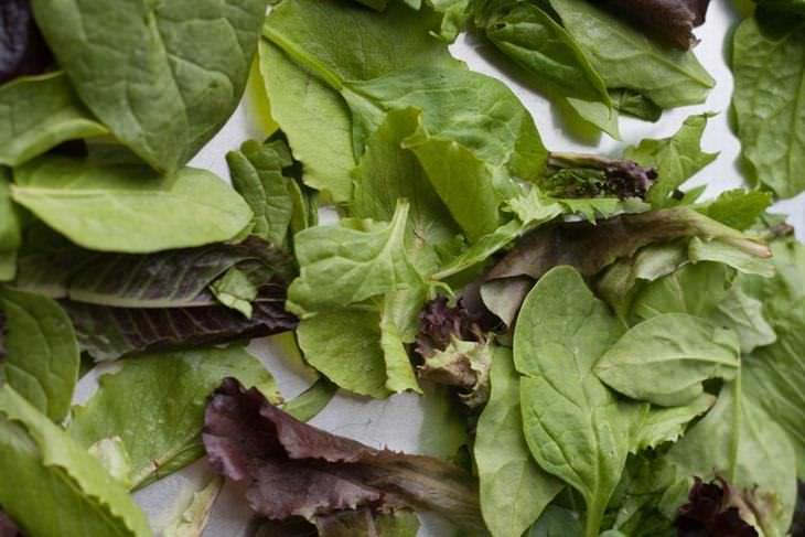 Make Your Greens Stay Fresh for Longer