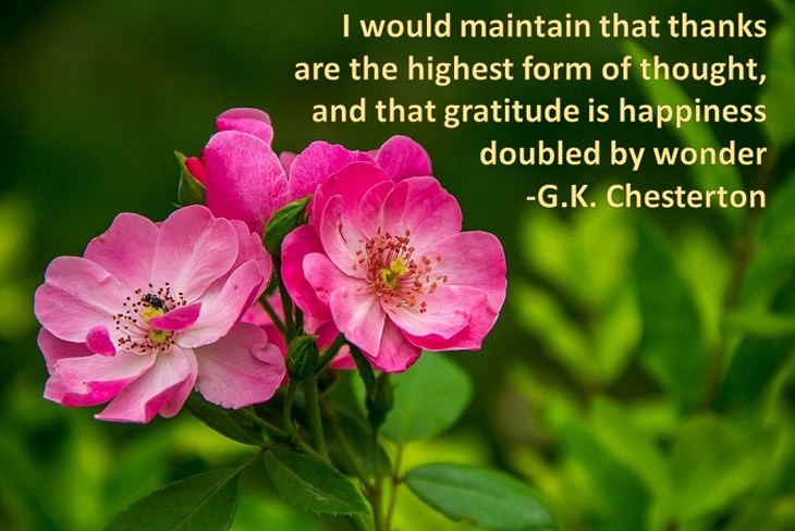 Gratitude Brings You Closer to God