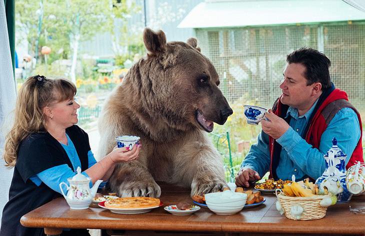 bear with family