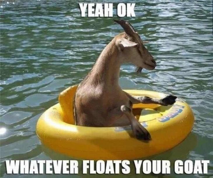 animal puns: floating goat
