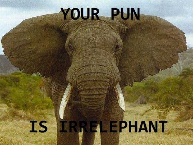 animal puns: Elephant