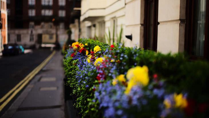 The Flowery Streets of London