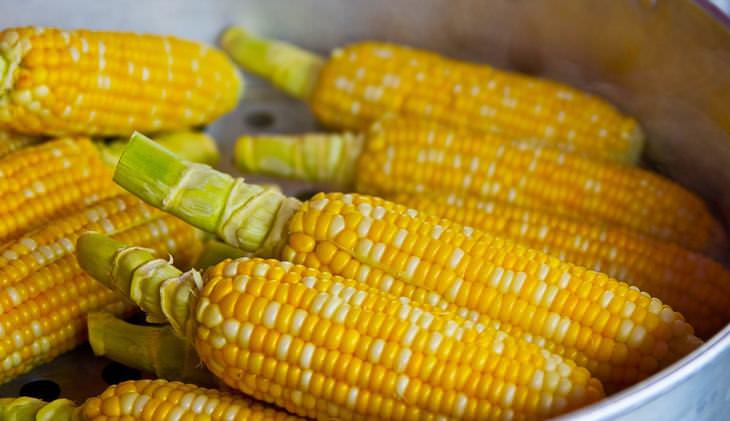 Corn Stories