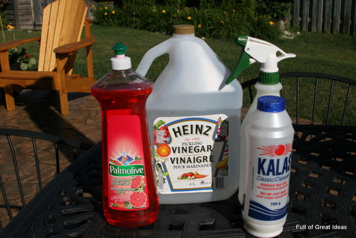 How to Make All-Natural, Home-Made Weed Killer