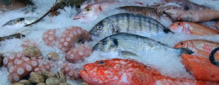 fish health benefits