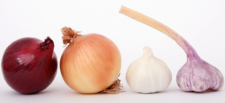 garlic onions