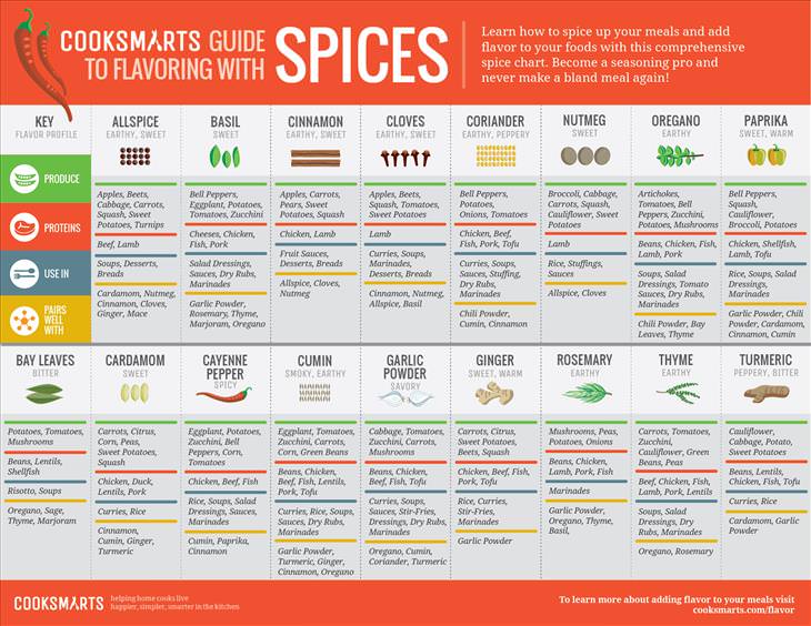 spice infographic cheat sheet