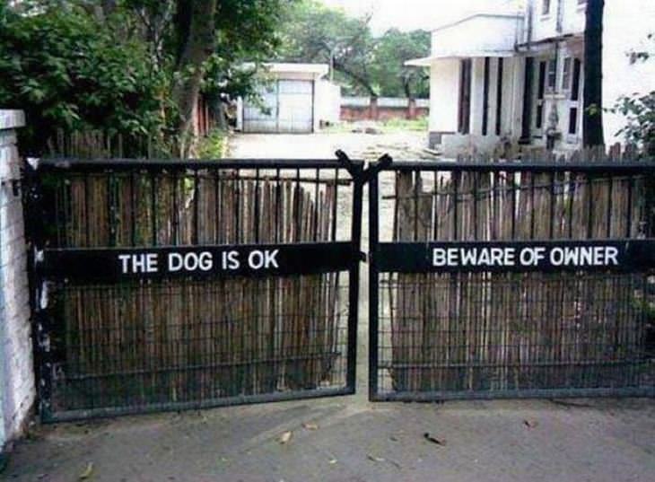 funny beware dog signs