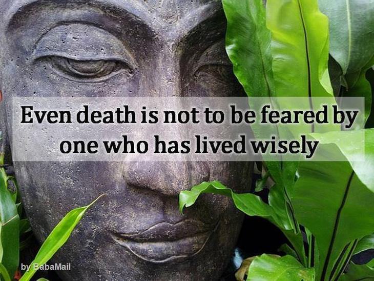 Buddha - Even death is not to be feared by one who has lived wisely.