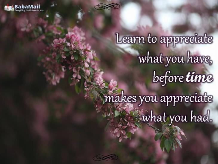Learn to appreciate what you have, before time makes you appreciate what you had.