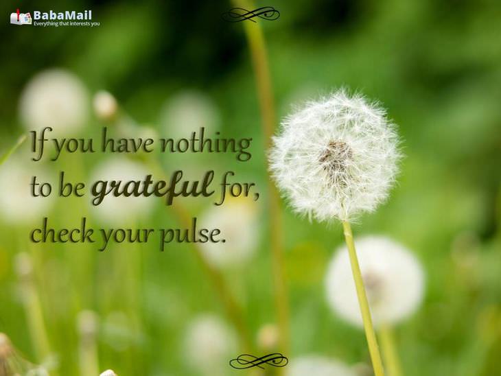 If you have nothing to be grateful for, check your pulse.