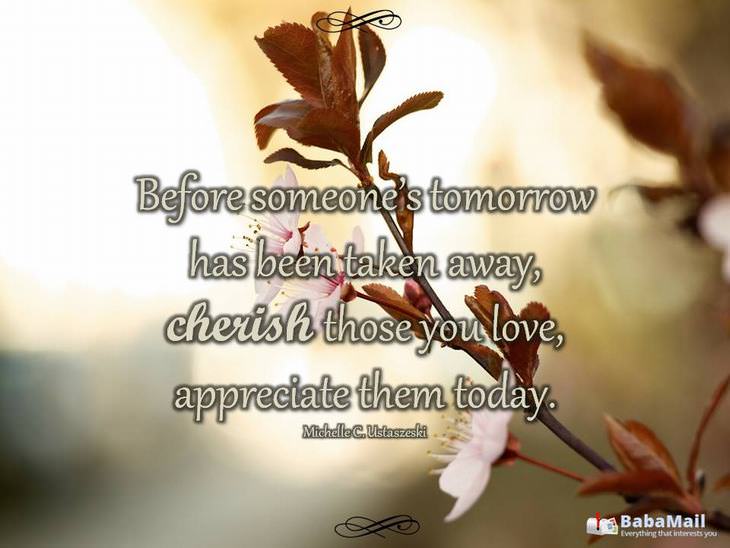 Before someone's tomorrow has been taken away, cherish those you love, appreciate them today. - Michelle C. Ustaszeski