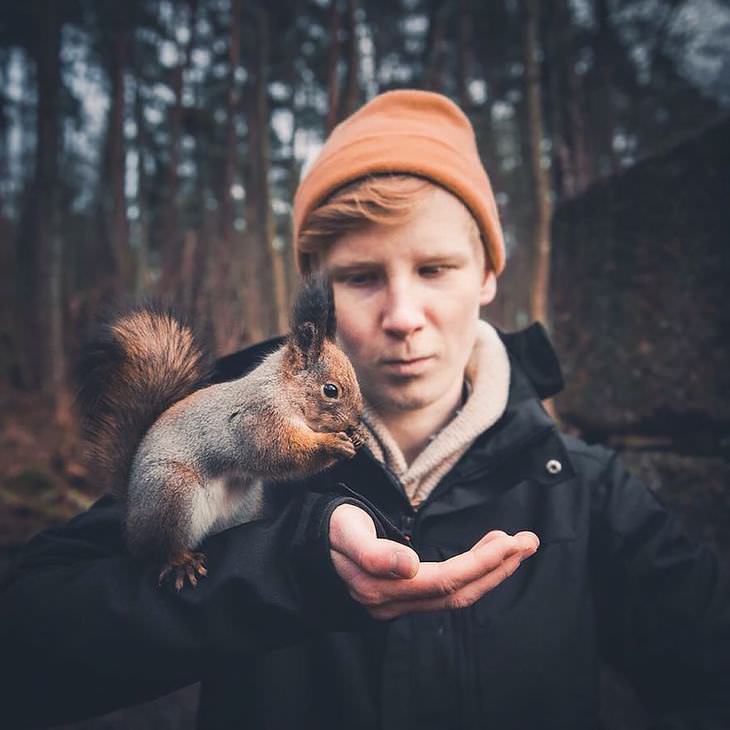 Finnish photography, wild animals