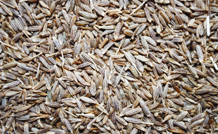 cumin seeds