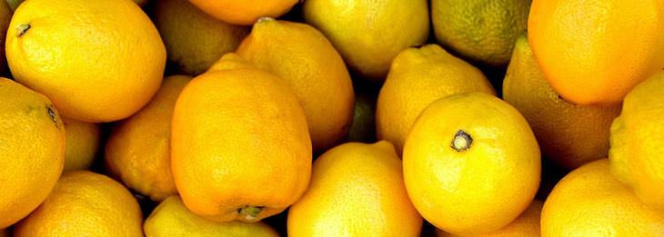 lemon uses
